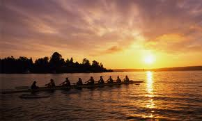 rowing in sunset image